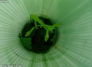 城投债风险防控与信用评级提升策略