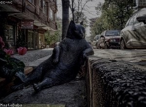 会计师事务所合规管理与风险防控