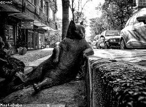 专项债券在基础设施建设中的创新运用