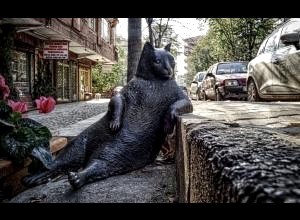 科技金融赋能中小企业创新发展