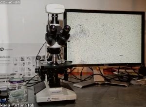 区域科技创新生态系统的培育策略