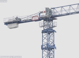 科技活动周的组织策划与品牌建设