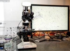 区域科技创新生态系统的培育策略