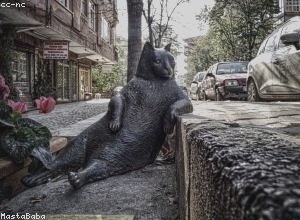 企业价值评估中的关键假设与风险分析