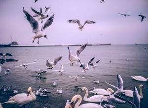 地方平台公司资产盘活与融资创新路径