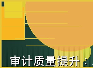 审计质量提升：从合规性到价值创造