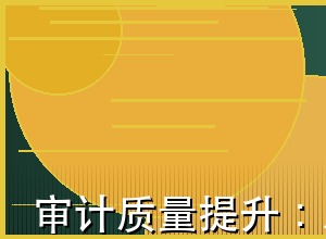 审计质量提升：从合规性到价值创造